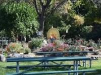 Un Paseo por el Parque