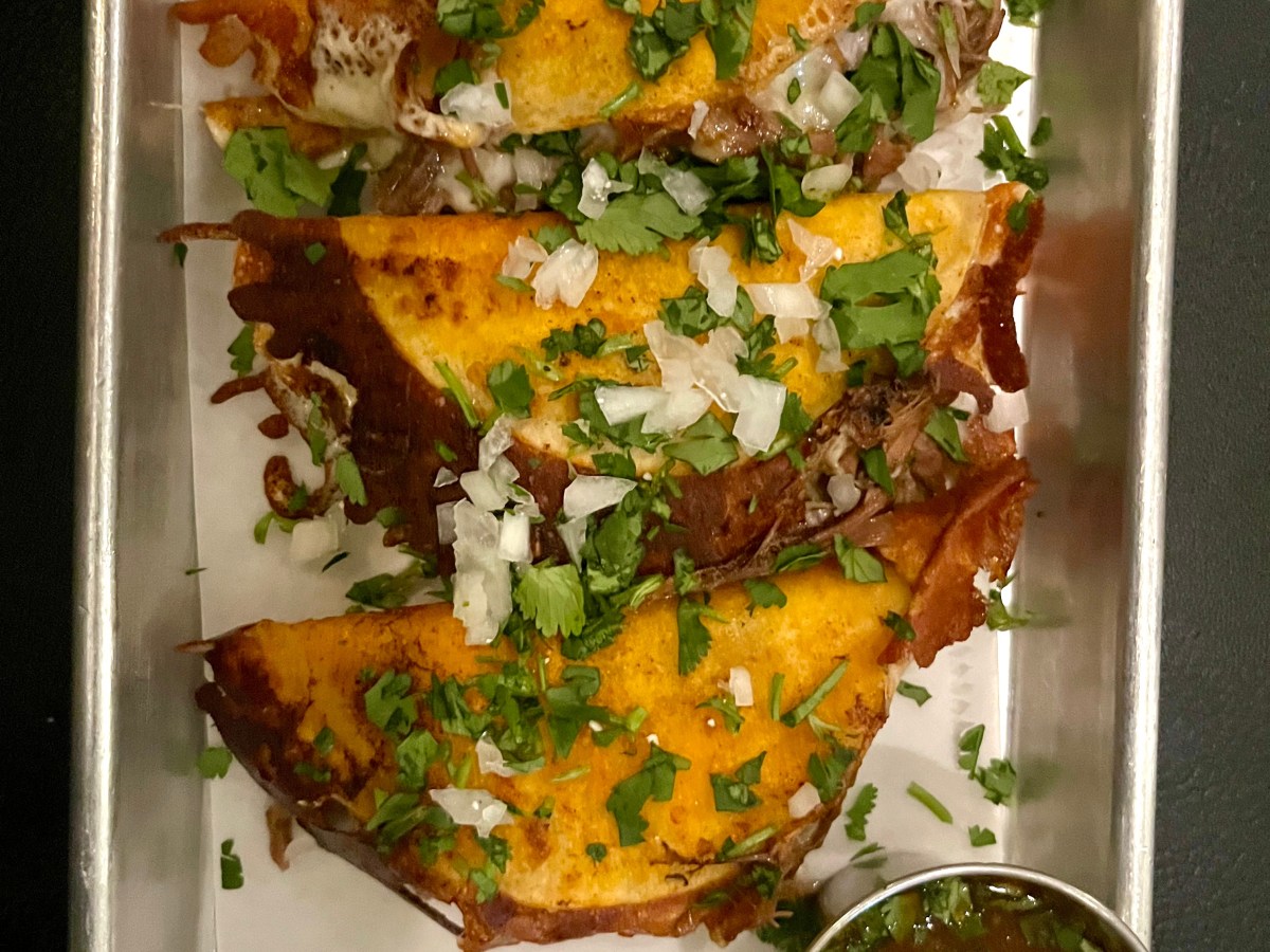 Nuevo a Nueva Paltz: Agave